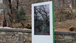 Опыт Железноводска может войти в Банк решений «Умного города»