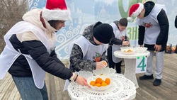 Регистрация на фестиваль по очистке мандаринов стартовала в Железноводске