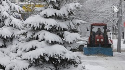 МЧС Ставрополья предупреждает о снеге и тумане 23 января в крае