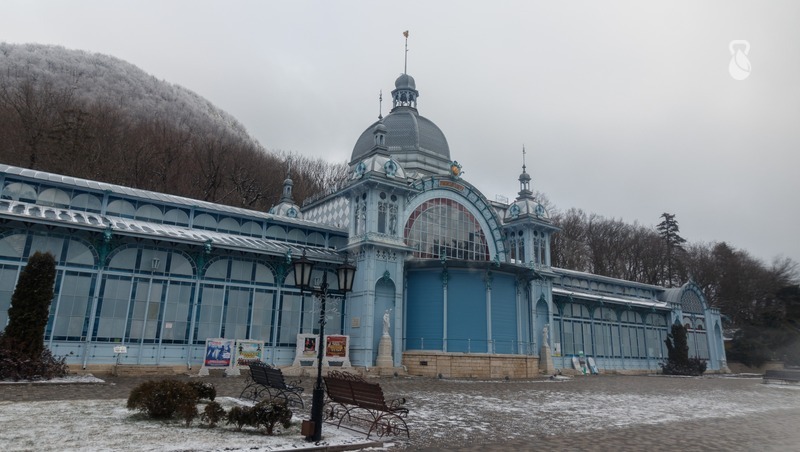 Выставка «Новогодняя весна» о традициях Китая открылась в Железноводске