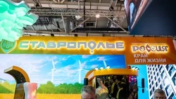 Ставропольские спортсмены представят край на выставке «Россия»