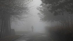 МЧС Ставрополья предупреждает жителей региона о тумане и дожде 20 ноября