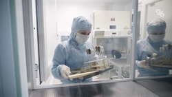 Бюджет лекарственного обеспечения Ставрополья вырос в 2024 году 