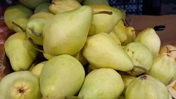 Более 33 тысяч ярмарок проведено на Ставрополье с начала года