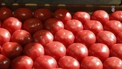 Две ярмарки проведут в Железноводске в июле
