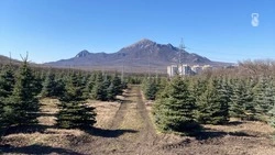В Железноводске готовятся к традиционному восхождению на Бештау в честь 9 Мая