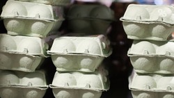 Продуктовые ярмарки состоятся в Железноводске и посёлке Иноземцево в сентябре