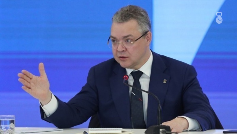 На Ставрополье уже чипировали 90% бездомных животных