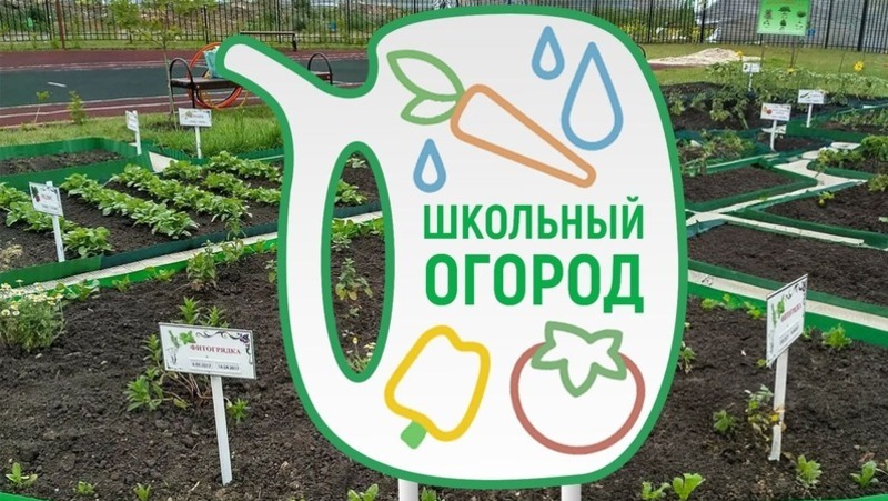 Школьников Железноводска научат выращивать овощи
