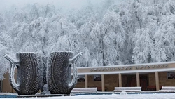 Железноводск получил премию Правительства РФ за успехи в туризме