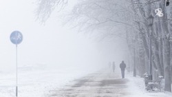 МЧС Ставрополья предупреждает о тумане и гололёде 25 января