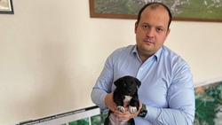 Найденные в Железноводске щенки снова в безопасности