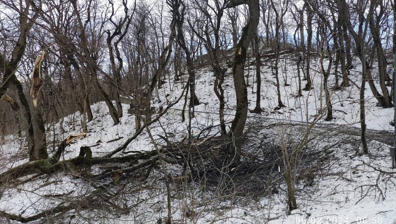 Ураганный ветер в Железноводске повалил более 20 деревьев