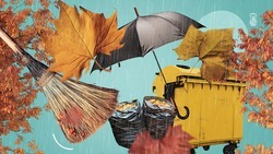 Осень в городе: кто должен убирать листву на КМВ