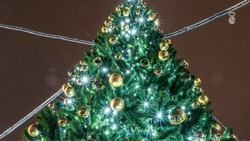 На Ставрополье не будут закупать новогодние украшения