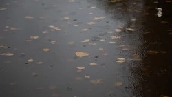 Облачная погода и дождь ожидаются в Железноводске 7 сентября