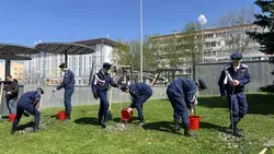 Саженцы клёна высадили вдоль Аллеи Любви в Железноводске в память о победе в ВОВ