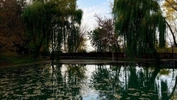 Баталинскую пещеру в Иноземцево признали природоохранной зоной