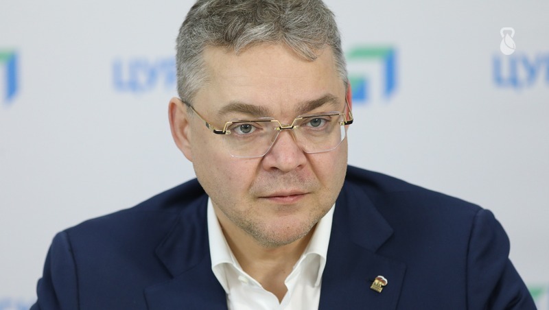 Владимир Владимиров поручил озеленить въезд в Железноводск