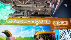 На выставке в Москве представляют Железноводск