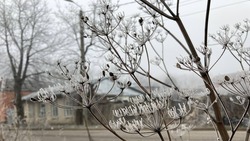 Сильные порывы ветра ожидают Ставрополье 27 февраля