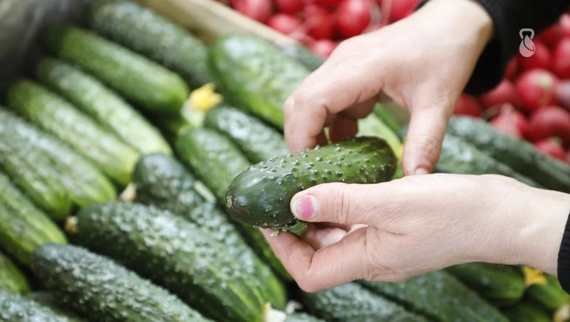 Фермерам рассказали, как стать участником продуктовых ярмарок в Железноводске