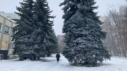 Рекордные на КМВ -22 градуса зафиксировали в Железноводске