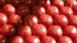 Более 25 тонн продукции представят ставропольцы на ярмарке в Антраците