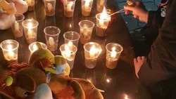 Память погибших во время теракта в «Крокус Сити Холле» почтили в Железноводске