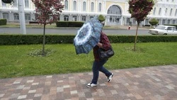 Дожди, ливни с грозой, градом и сильным ветром будут на Ставрополье 7-10 мая