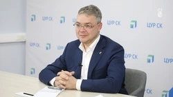 По поручению губернатора Ставрополья большая весенняя уборка завершится перед Пасхой 