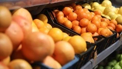 Мандарины трёх сортов будут чистить на скорость в Железноводске