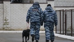 Впервые поступило сообщение о минировании городского дворца культуры в Железноводске