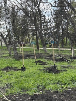 Благодаря акции «Сад памяти» 80 деревьев высадили в Железноводске