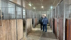 Ремонт первой муниципальной конноспортивной школы начался в Железноводске 