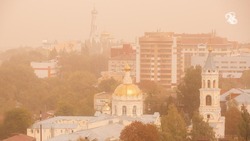 МЧС: Пыльные бури обещают на востоке Ставрополья 29 августа