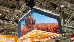 Делегация Йемена увидела стенд Ставрополья на выставке «Россия»