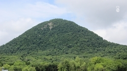 «Экотуризм активно развивается в Железноводске» — мэр Бакулин