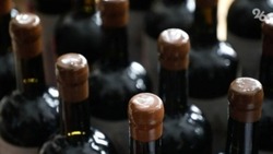 Туристические маршруты на винные предприятия разрабатывают на Ставрополье