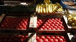 Предновогодние ярмарки пройдут в Железноводске и Иноземцеве