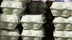 Продуктовые ярмарки состоятся в Железноводске и посёлке Иноземцево в сентябре