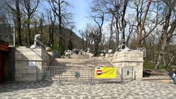 Каменную лестницу временно закрыли в Курортном парке Железноводска