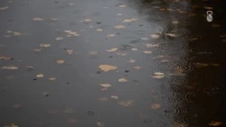 Пасмурная погода и небольшой дождь ожидаются в Железноводске 20 апреля