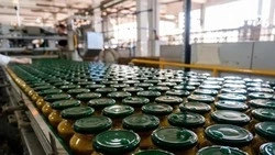 Объём производства пищевых продуктов стал больше на 15% в 2022 году на Ставрополье