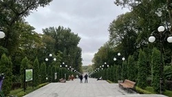 В Железноводске проведут акцию по сбору батареек