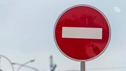 Одну из улиц перекроют в Железноводске из-за опасного дерева