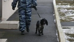 В Железноводске выводят людей из городского суда из-за угрозы минирования
