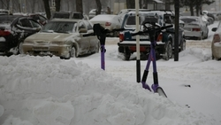 Школы Ставрополья переведут на дистанционное обучение из-за сильного снегопада