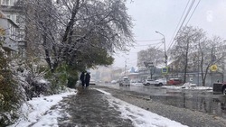 Дождь и мокрый снег прогнозируют утром на Ставрополье 17 ноября