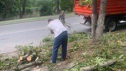 Упавшие во время непогоды деревья убирают в Железноводске